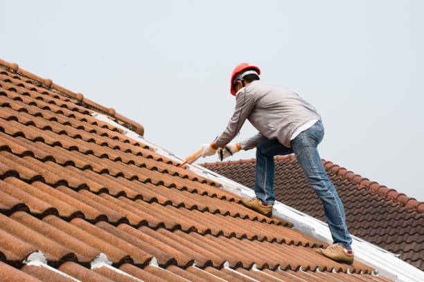 Best Gutter Installation and Repair  in University Of Lifornia Davis, CA
