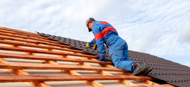 Professional Roofing services in University Of California Davis, CA